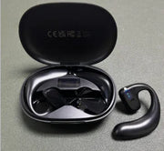 Bluetooth Smart Translation Earbuds